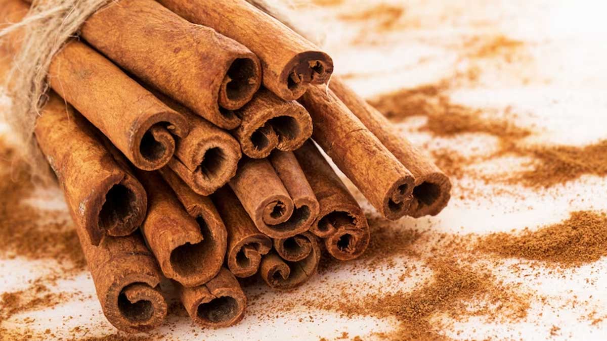 Cinnamon Can Protect You From Prostate Cancer ICMR Study